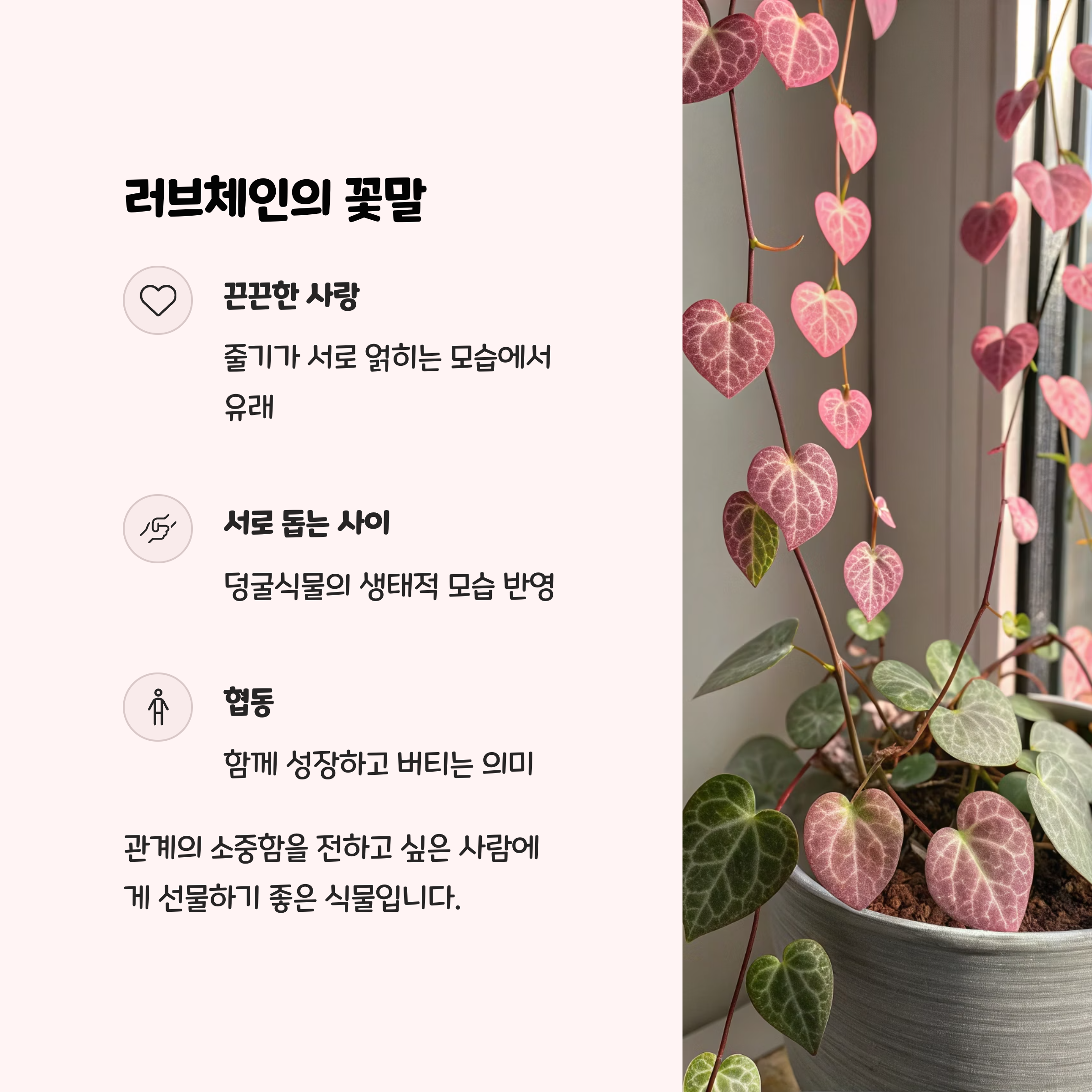 러브체인