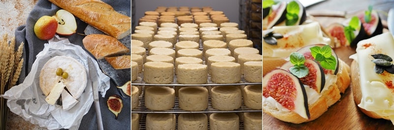 치즈 건강 상 이점