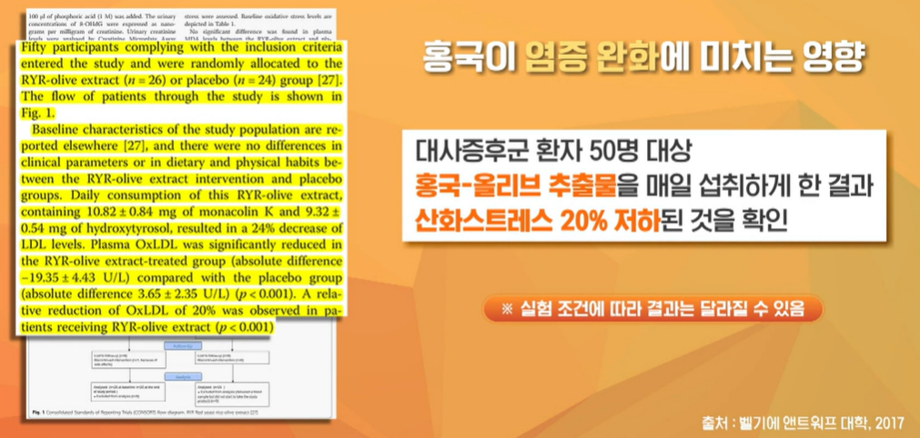 발효 홍국 효능
