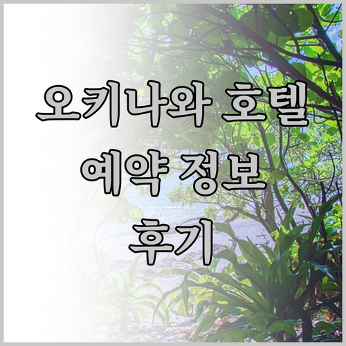 REF 오키나와 아레나 호텔 후기와 