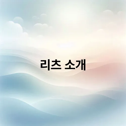 리츠 소개