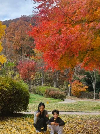 단풍구경 전국 명산 50대 이상 안전한 등산로 추천_17