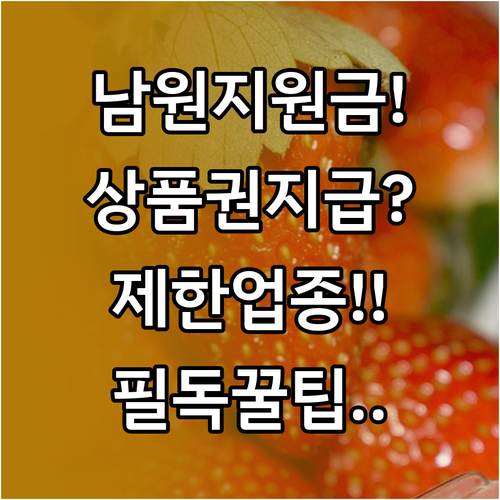 남원시 민생안정지원금 남원사랑상품권 ..