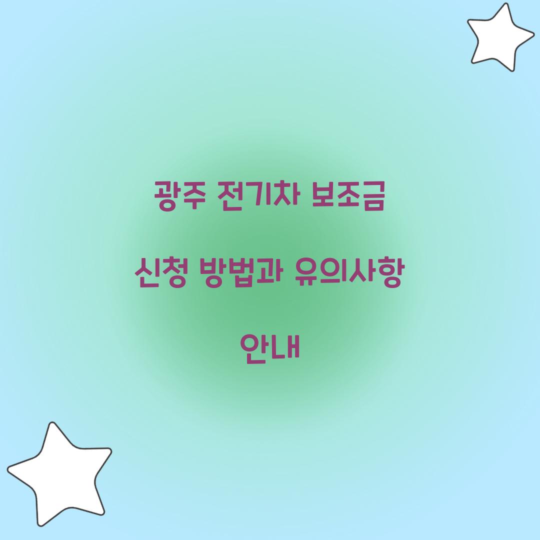 광주 전기차 보조금