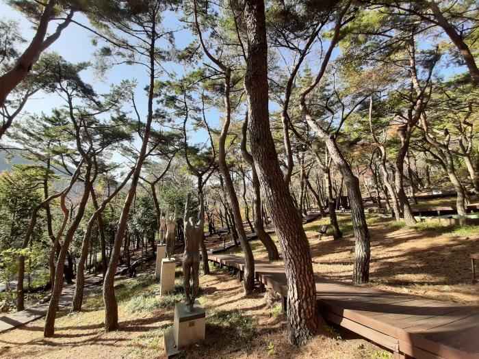 창원 편백치유의숲