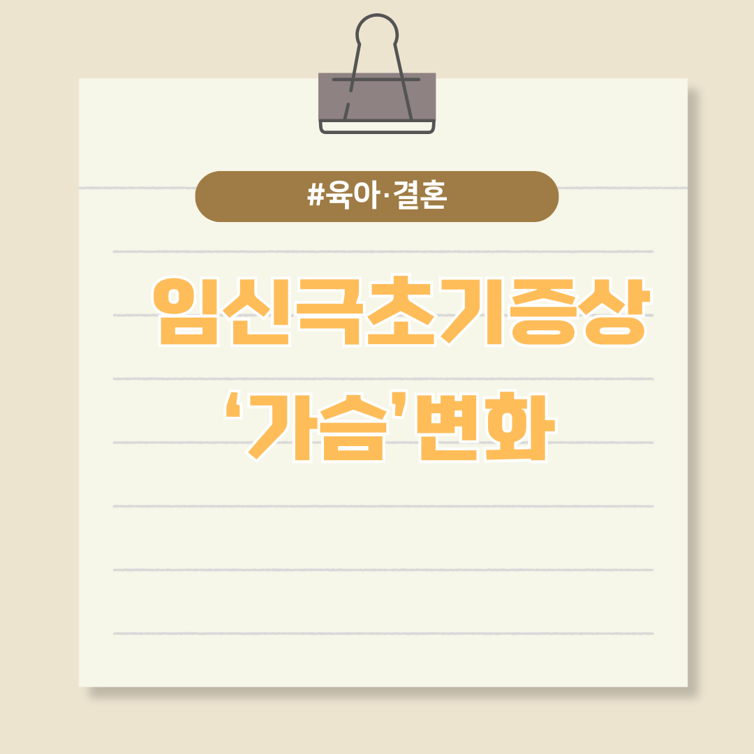 임신 극초기 증상(가슴) 변화