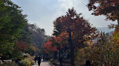 단풍명소_화담숲_추억의정원