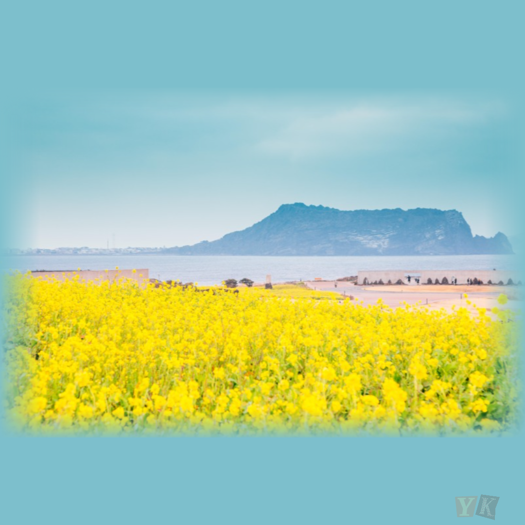 봄철 알레르기 질환 예방법만 잘 지켜도 비염 걱정 줄어요