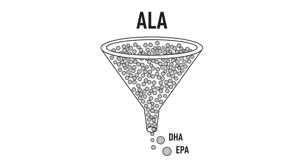 식물성 오메가3 부작용