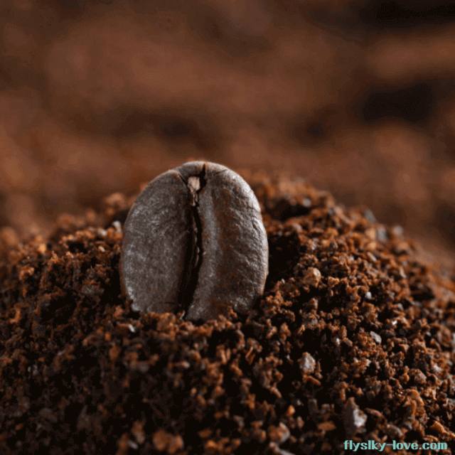 천연 비료로 활용되는 커피박