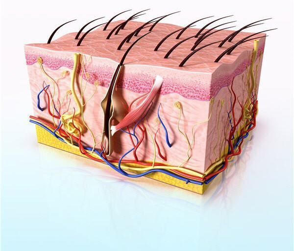 겨드랑이-냄새-고민해결