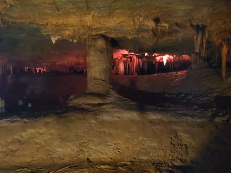 천곡황금박쥐동굴