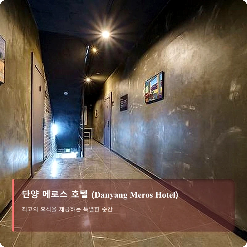 단양 메로스 호텔 (Danyang Meros Hotel)_4