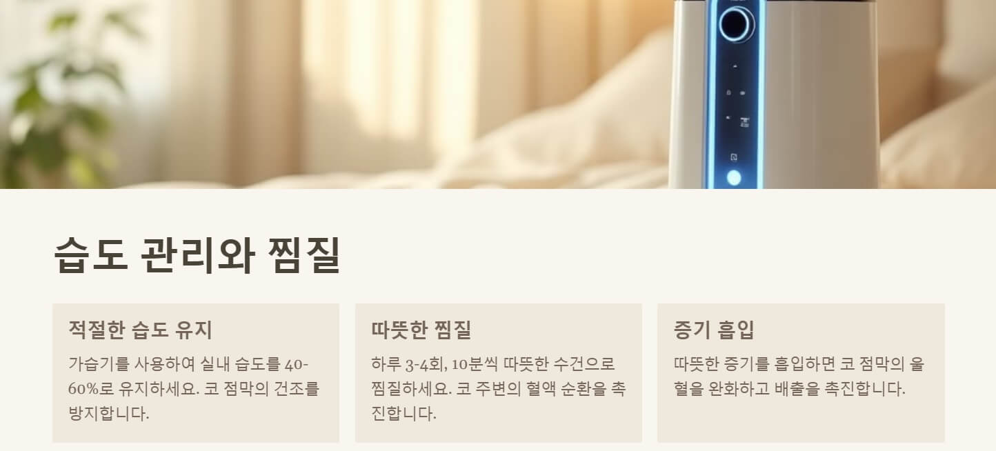 콧물 감기 빨리 낫는법