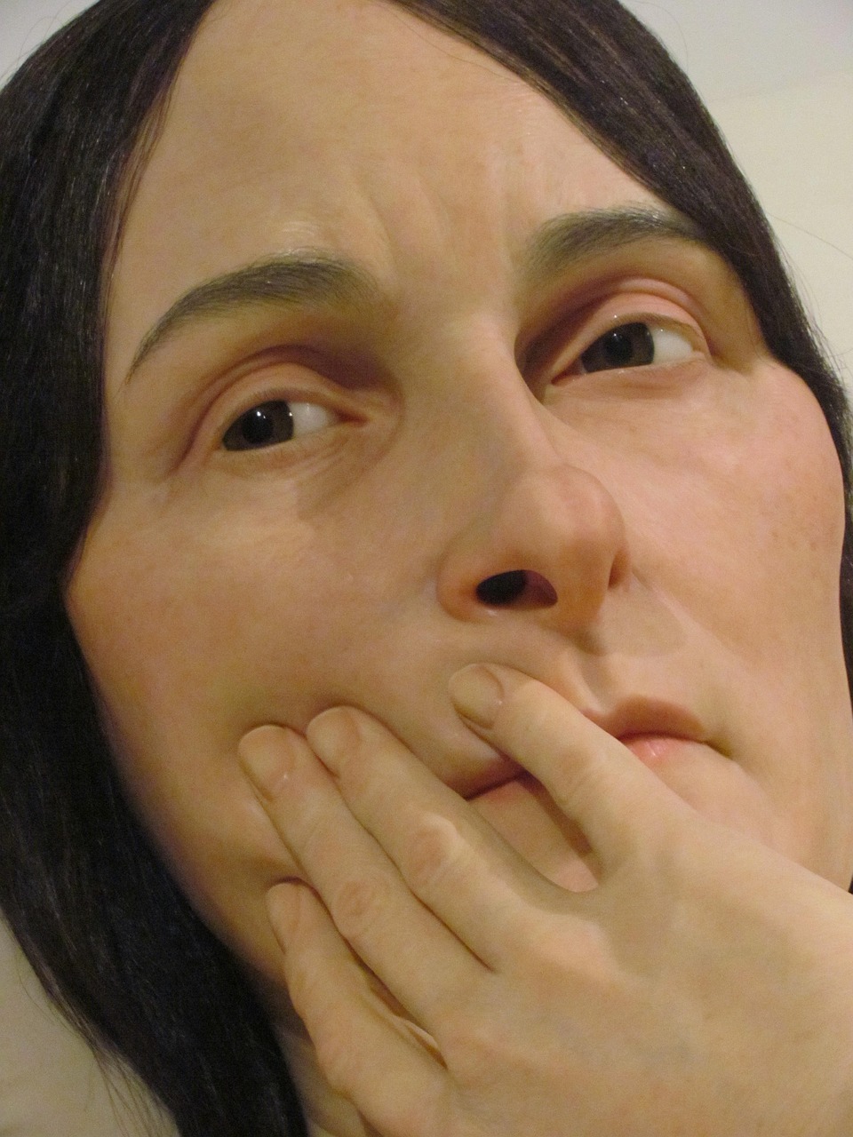Ron Mueck 작품1( 출처 : Pixabay제공)