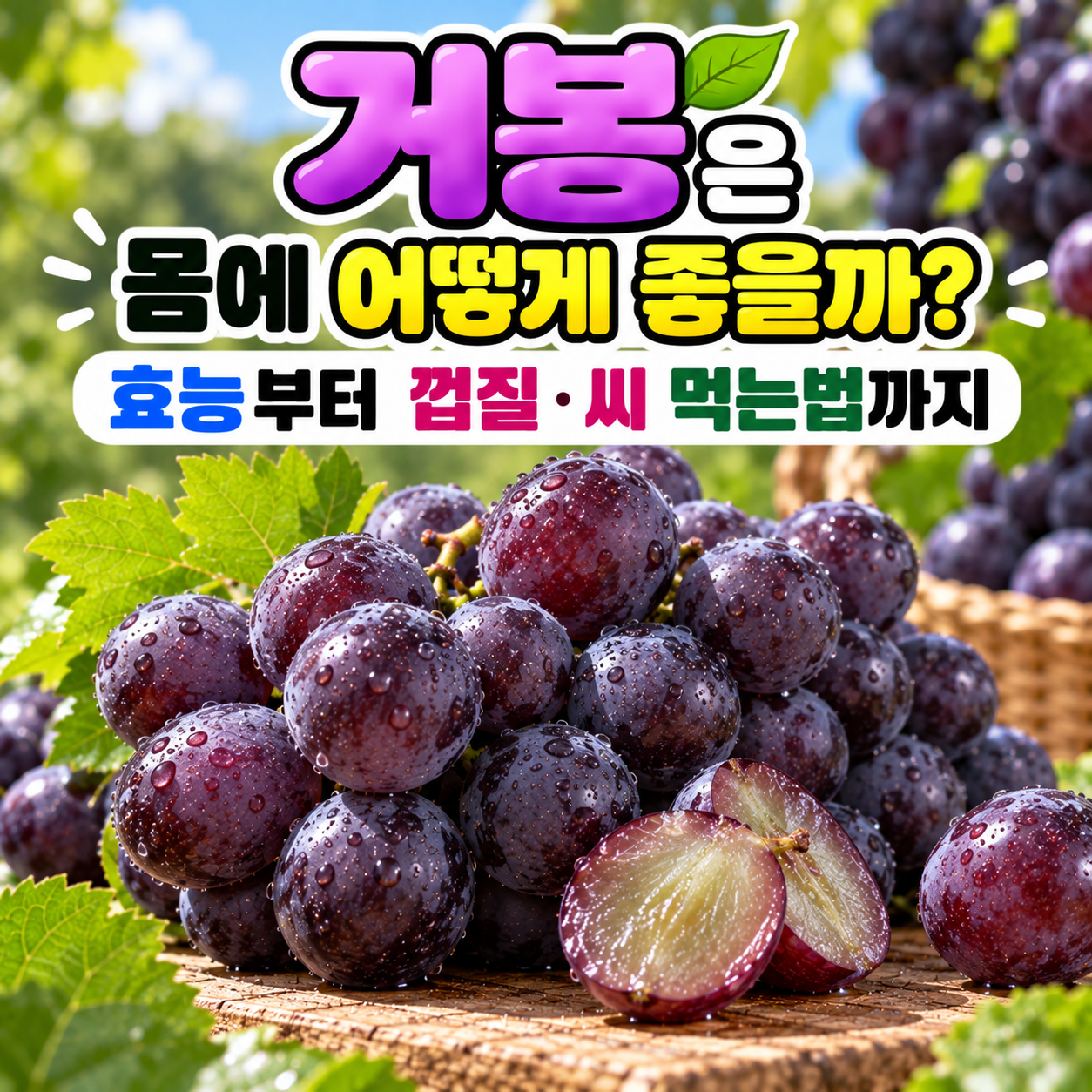 거봉 효능