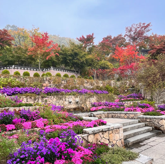 단풍 명소