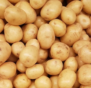 위염에 좋은 음식 영양제 식단