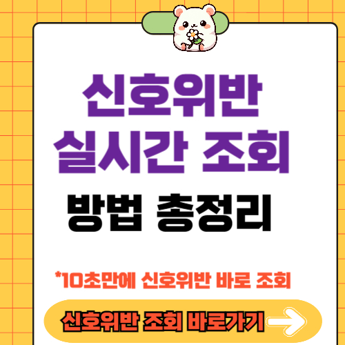 신호위반 실시간 조회