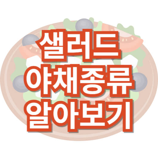 샐러드-야채-종류-알아보기