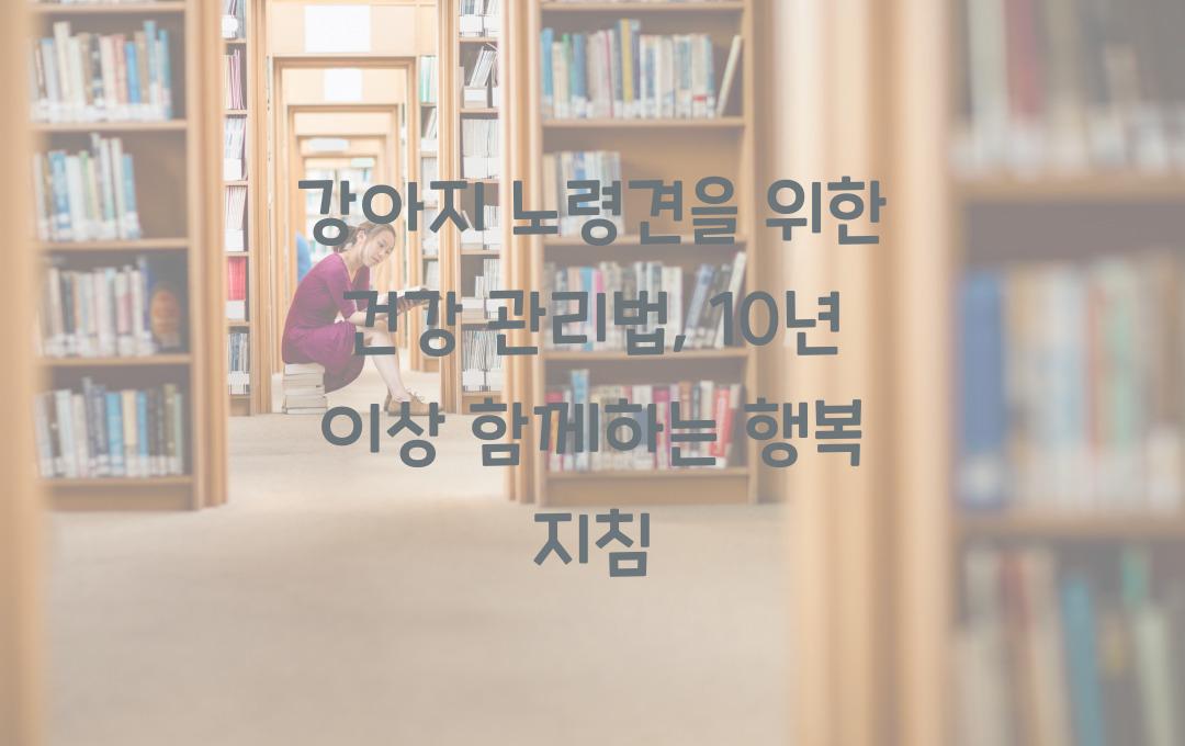 강아지 노령견을 위한 건강 관리법, 10년 이상 함께하는 비결