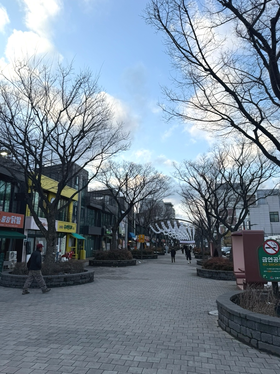 월화거리