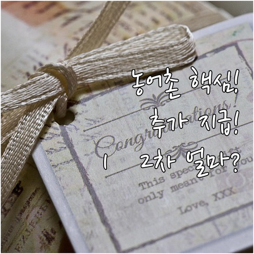 2025 비수도권 농어촌 추가 지급 ..