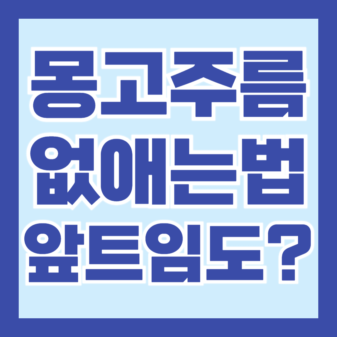 몽고주름