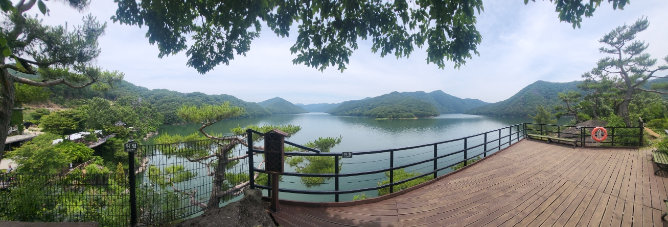 옥천/핫플레이스/대청호/천상의/정원/수생학습식물원