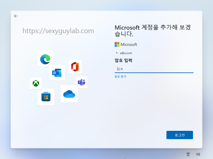 Windows 11 설치 암호 입력