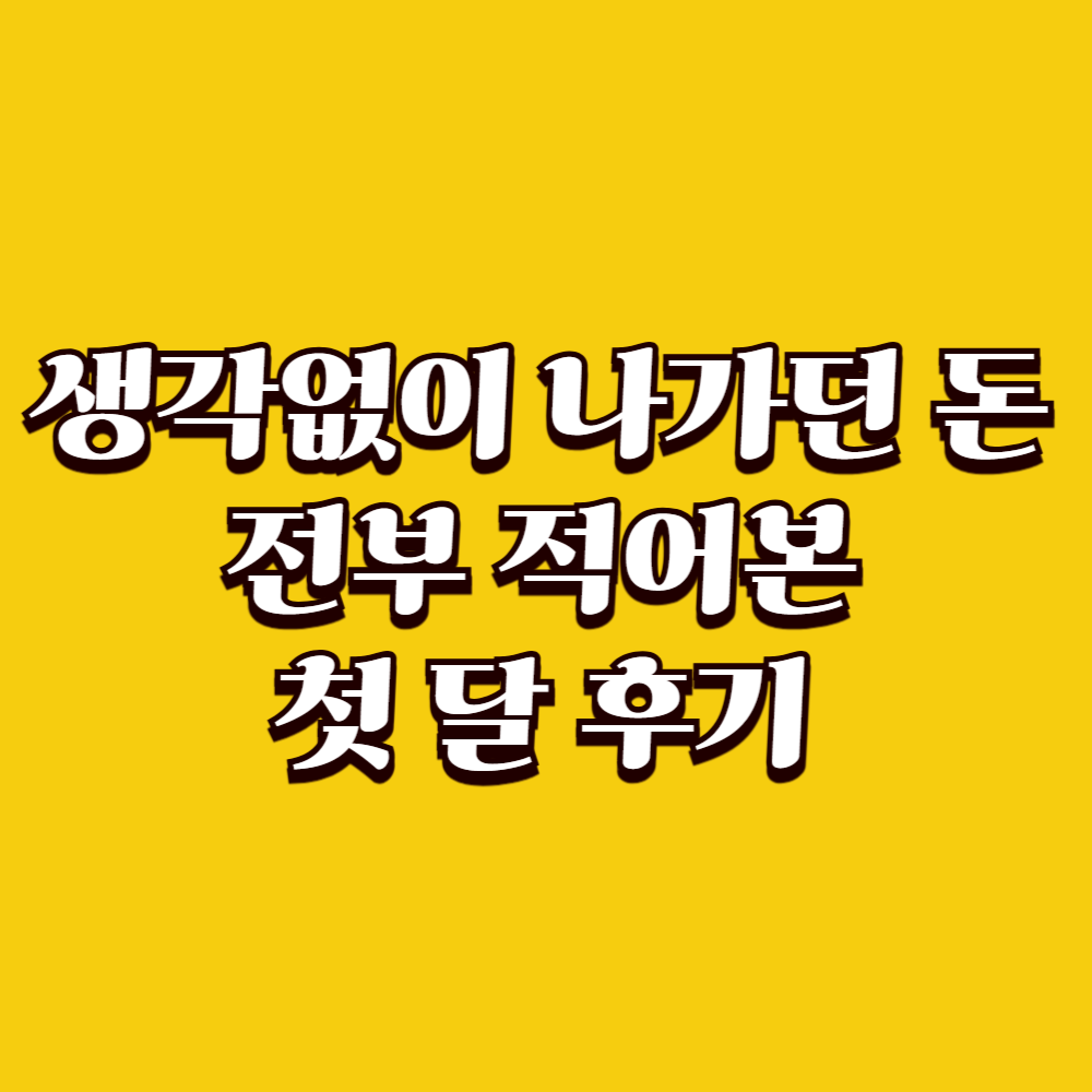 생각 없이 나가던 돈을 전부 적어본 첫 달 후기