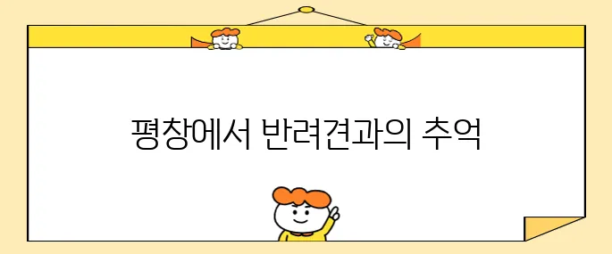 강원도 평창에서 더화이트 호텔과 휘닉스파크 인근 애견 동반 숙소를 추천합니다 여러분의 소중한 반려견과 함께 특별한 시간을 보내세요