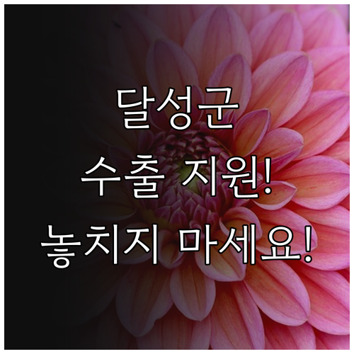 달성군 수출보험료 지원 2025: 환..