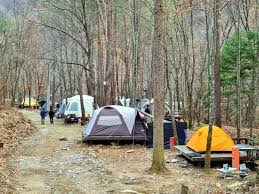 홍천 가볼만한곳 베스트 삼봉자연휴양림
