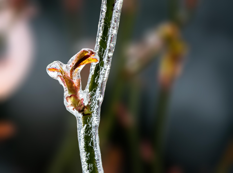 설악산 관련 사진
