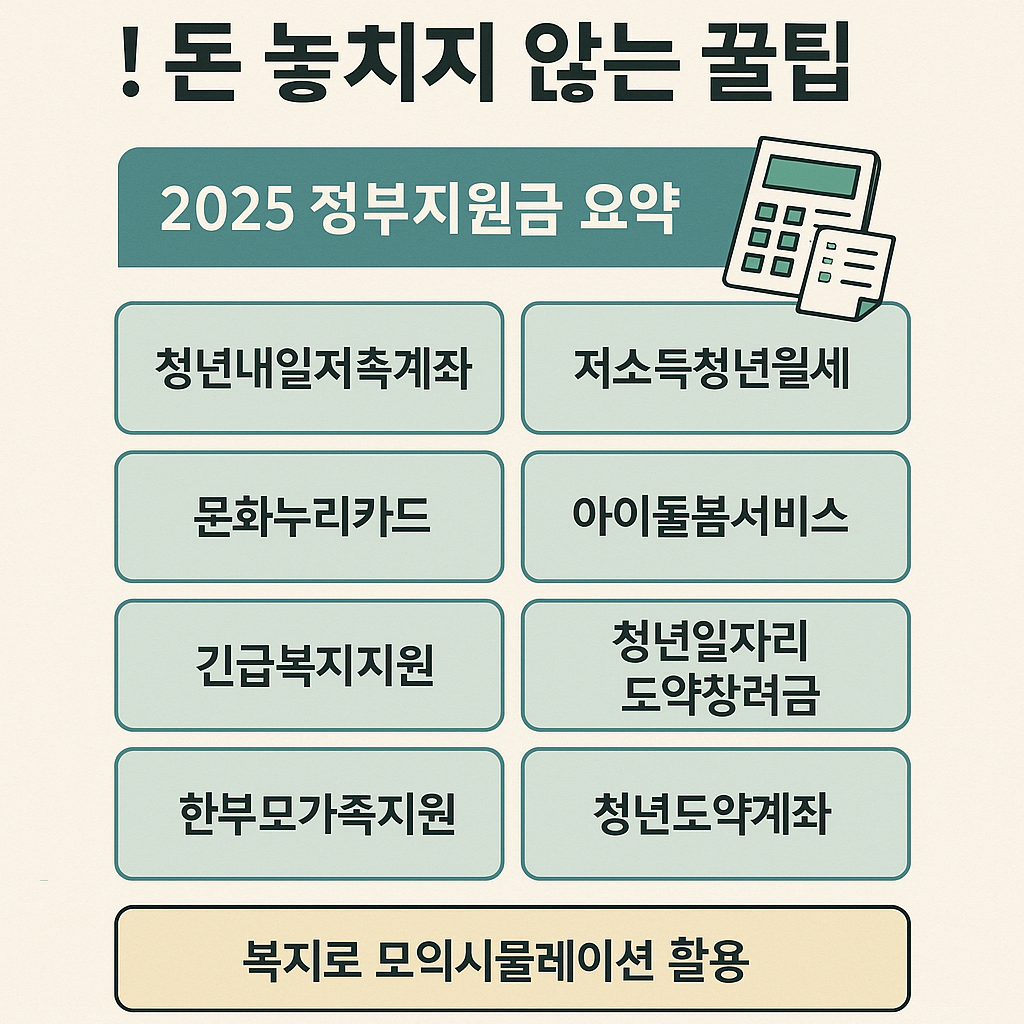 정부지원금 인포그래픽, 2025 지원제도 요약, 돈 놓치지 않는 꿀팁, 복지금 요약표, 복지로 시뮬레이션