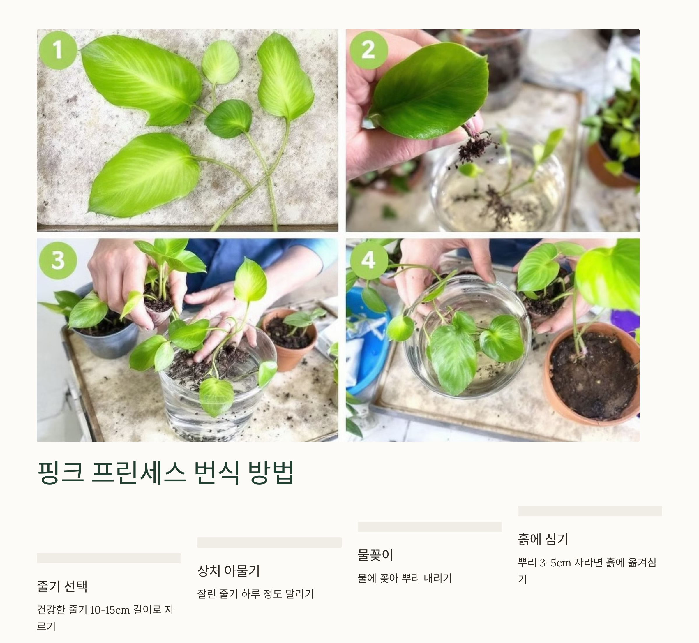 핑크 프린세스