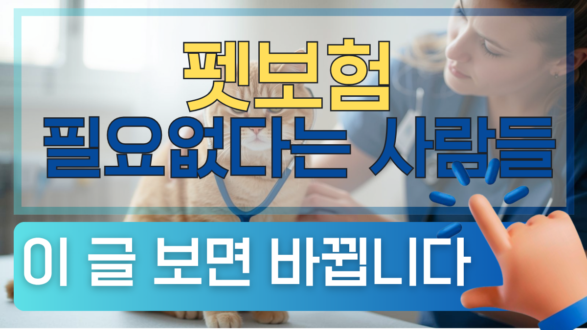 펫보험 추천