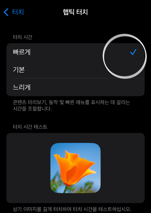 손쉬운 사용 터치 기능 중 햅틱 터치 속도 설정 화면