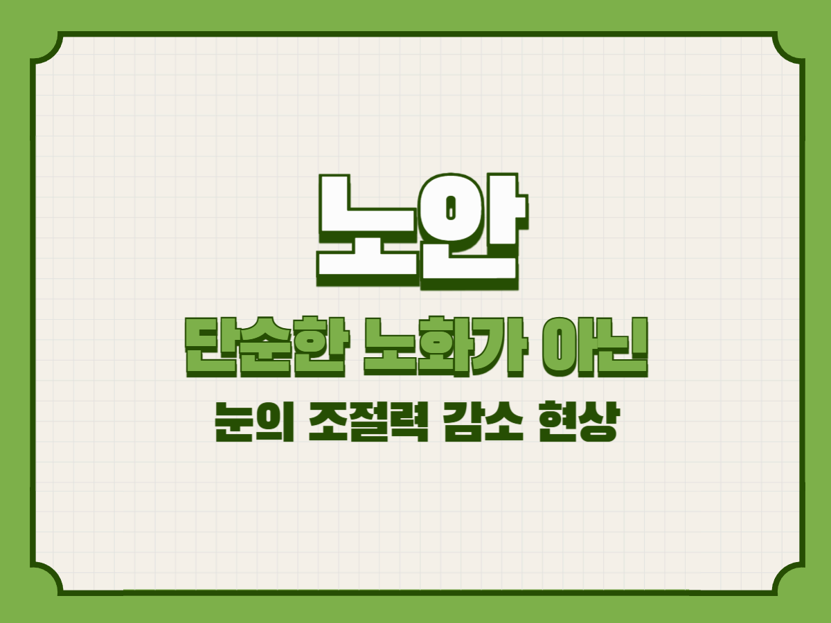 노안, 단순한 노화가 아닌 눈의 조절력 감소 현상