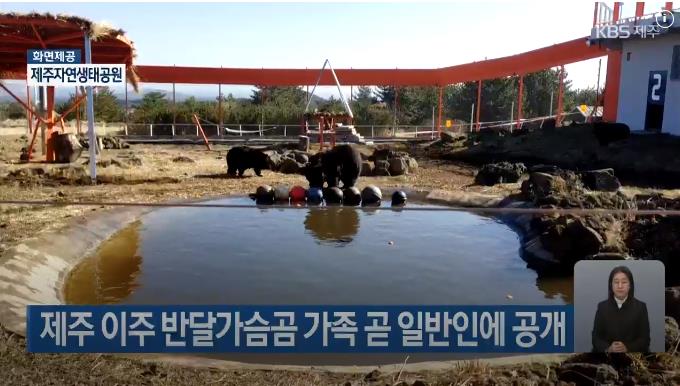 제주 반달가슴곰 공개