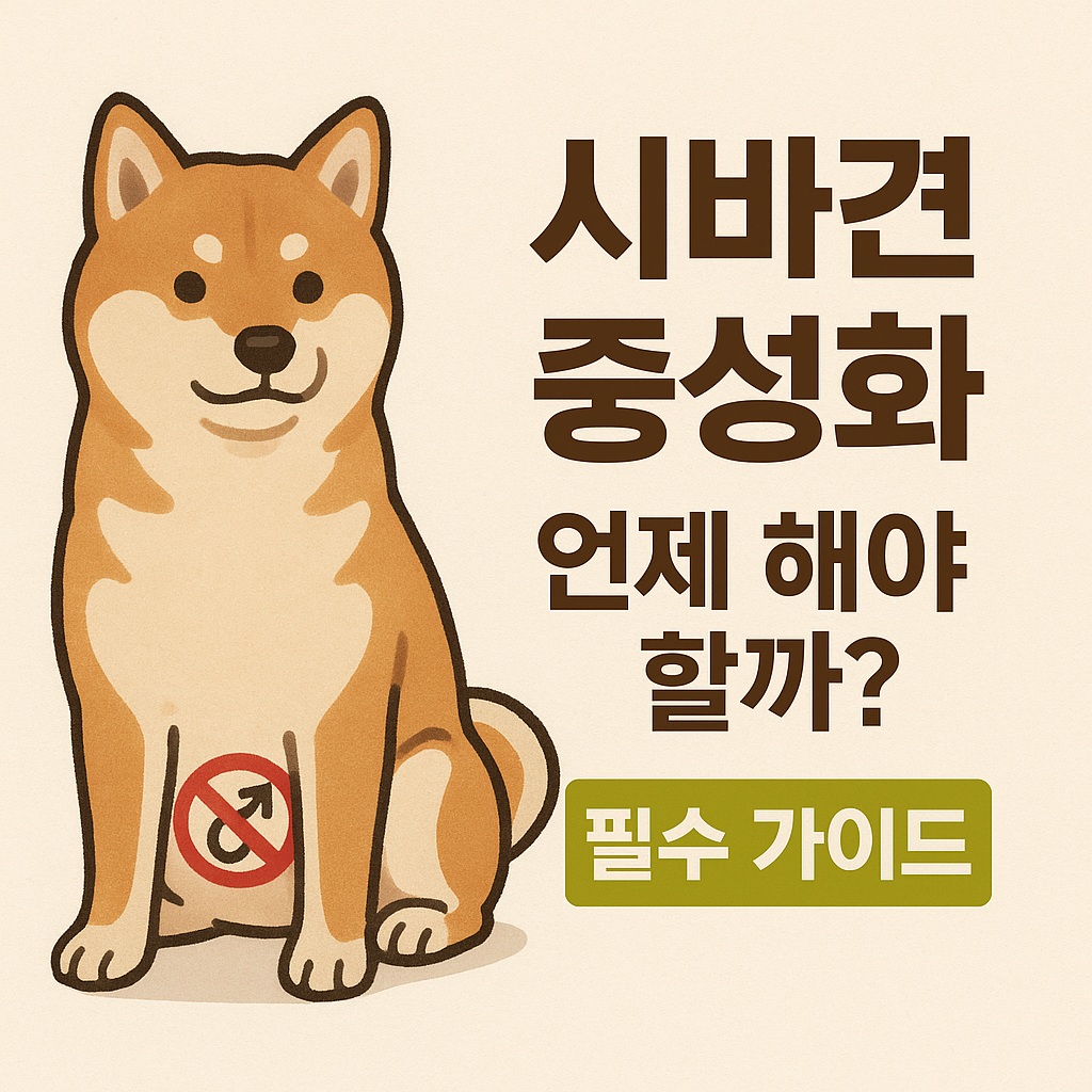 시바견 중성화, 언제 해야 할까?