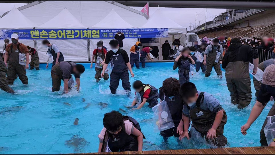 맨손인삼송어잡기