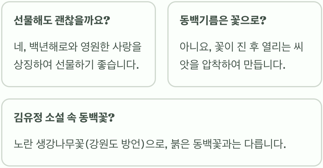 동백꽃 꽃말과 전해 내려오는 상징적 의미 총정리