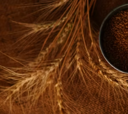 카무트 효소 부작용 분말 다이어트