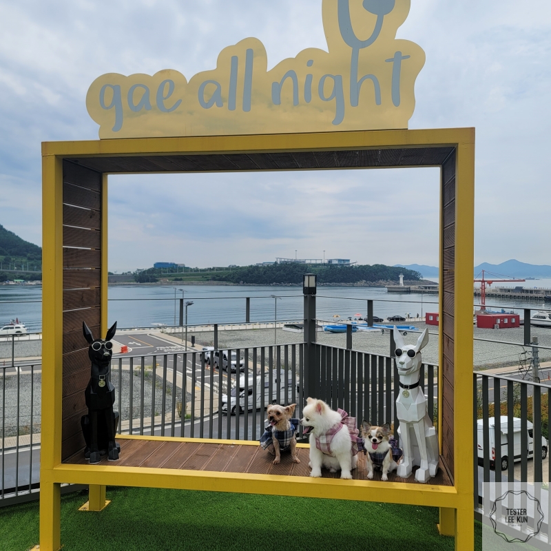 개올나잇-포토존1