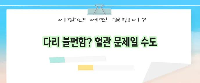 하지정맥류 증상 이해하고 대처하는 방법