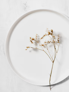 지방간 없애는 방법 12