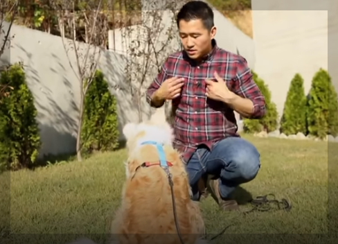 보듬컴퍼니 대표 강형욱