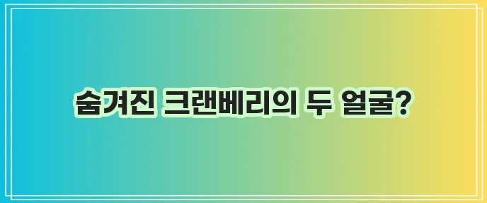 크랜베리 효능과 부작용 꼭 알아봐야겠죠!